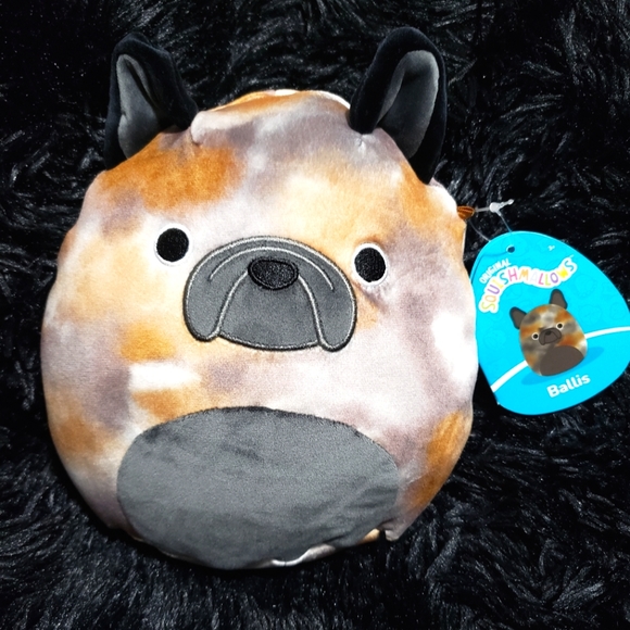 Squishmallows Toys Nwt Ballis The Bulldog Squishmallow Poshmark